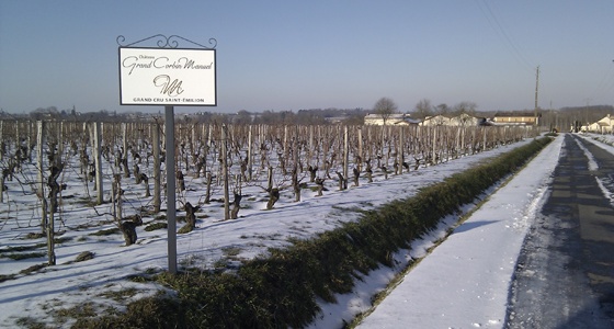 Verticale de Château Grand Corbin Manuel