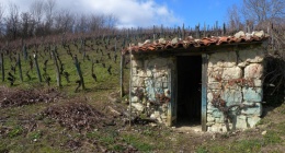 voyage en Auvergne et dans le Sauternais (1ère partie)