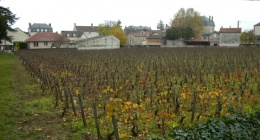 3ème tuerie à Vosne-Romanée