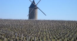 voyage en Auvergne et dans le Sauternais (2ème partie)