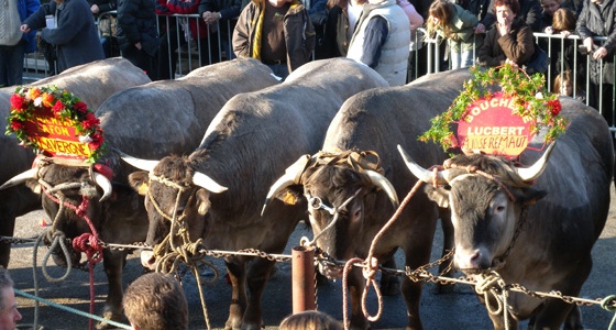 Fête du Boeuf Gras