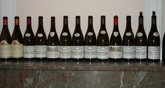 Verticale Clos St Jacques de Sylvie Esmonin