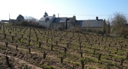 Voyage en Loire (2ème partie)