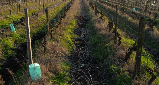 Voyage en Loire (1ère partie)