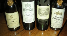 Soirée à Bursins entre amis