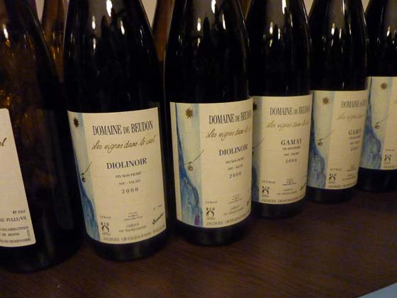 Domaine de Beudon