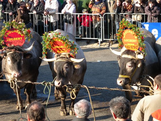 carnaval du boeuf gras 2