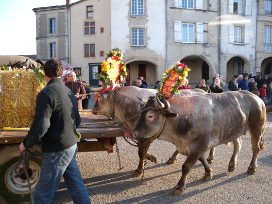 carnaval du boeuf gras 3