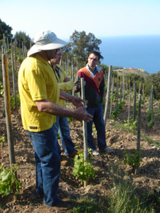 en pleine discussion de labourage