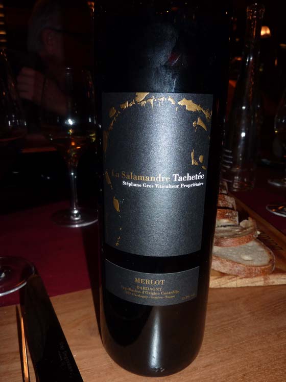 la salamandre tachetée