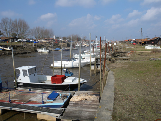 une partie du port ostréicole