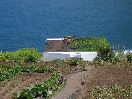 presque le paradis